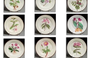 Set (10) English Botanical Creamware Plates
