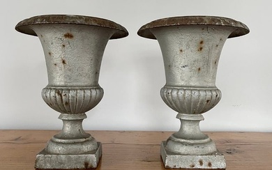 Small Pair of French 19th Century Cast Iron Campana Urns