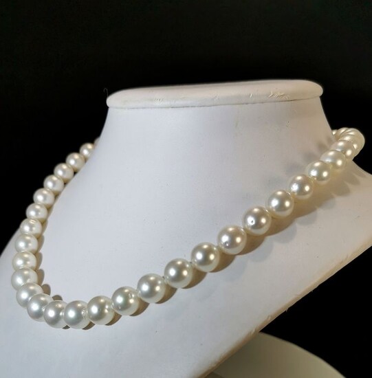 South sea pearls, Steel, #LOW RESERVE PRICE# Size 9x11mm - Necklace