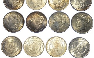 USA. Lot de huit pièces. 7 pièces de type Morgan Dollar de 1879 à 1888...