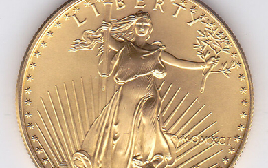 United States - 50 Dollars 1991 American Eagle - 1 oz - Gold
