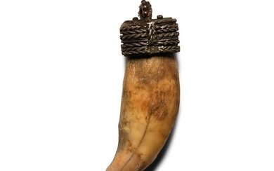 Viking Age Silver Pendant with Bear's Tooth