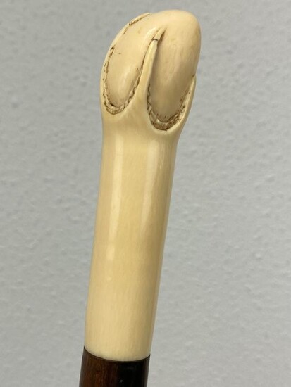 Walking stick with an ivory claw and egg handle - Ivory certificate included - Ivory - Circa 1890
