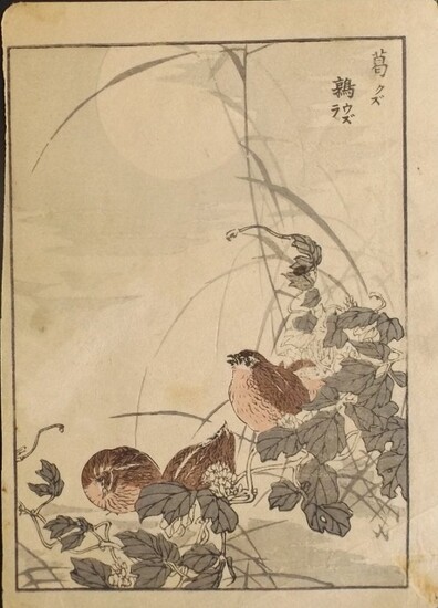 Yukoku Matsui, Kudzu, Japanese Quail, 1stPrint 1901