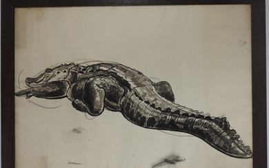 Yvonne HANRIOT GIRAUD (1898-1960) : Etude de crocodile. Lavis. Non signé. 74 x 104 cm....