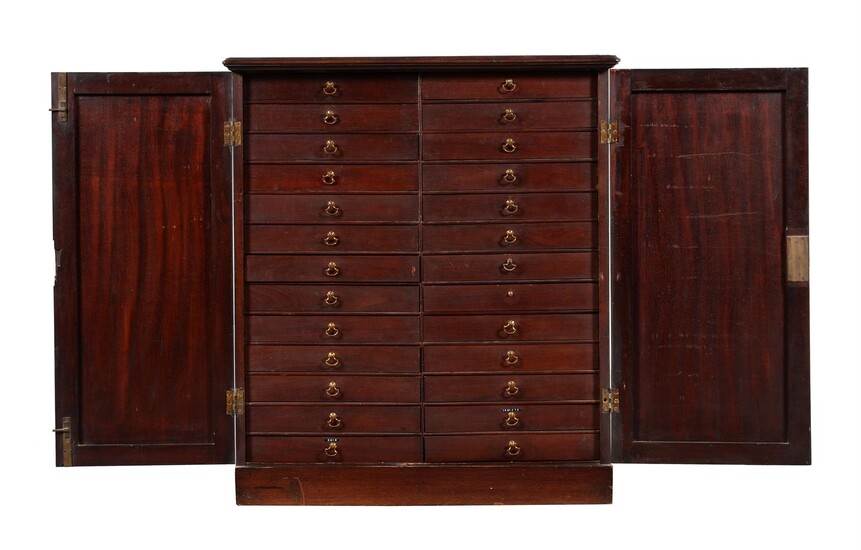 A late Victorian mahogany collectors cabinet