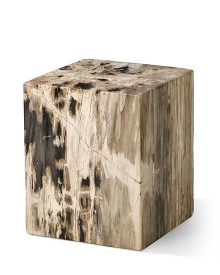 A petrified wood low table