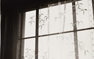 Andy Warhol, Window and Curtain