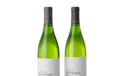 Bourgogne Blanc from Domaine Roulot and Jean-Marc Roulot (6 BT)