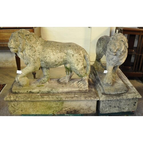Handed pair of weathered composition stone garden male lions...