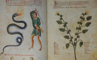 Medicina antiqua libri quattuor medicinae Codex Vindobonensis 93