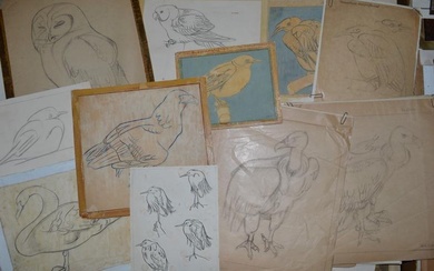Nine late 20th century pencil studies of birds by...