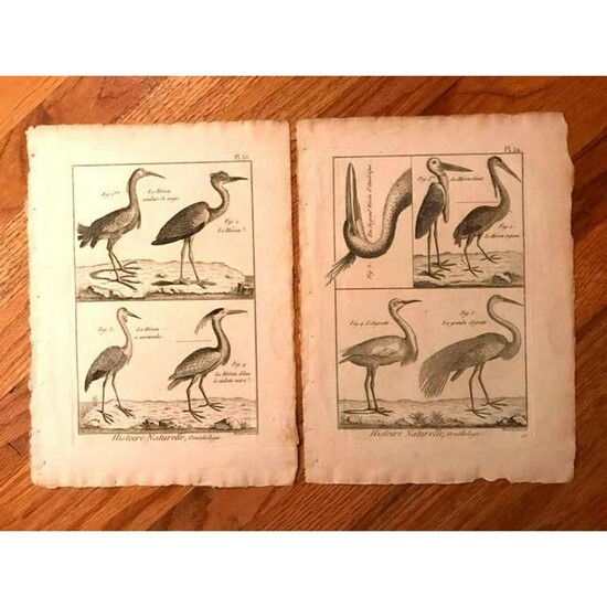 Pair of 18thc French Copperplate Engravings, Herons &