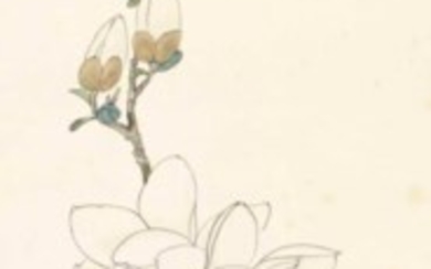 YU FEI’AN (1888-1959), Magnolia