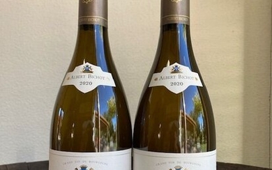 2020 Beaune 1° Cru "Clos des Mouches" - Domaine du Pavillon - Albert Bichot - Bourgogne - 2 Bottles (0.75L)
