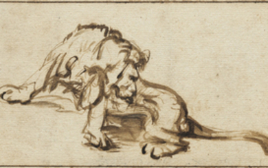 Circle of Rembrandt Harmensz. van Rijn (Leiden 1606-1669 Amsterdam), A seated lion licking himself