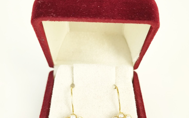 A PAIR OF 9ct YELLOW GOLD GARNET AND PEARL CLUSTER EARRINGS