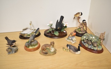 A group of mixed ornithological and animal studies, Border Fine Arts, Aynsley and Royal Doulton