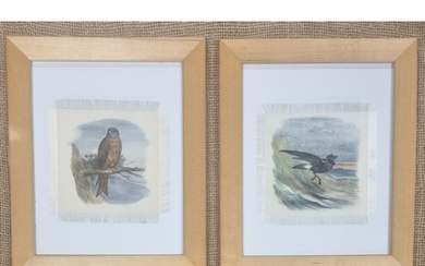 A pair of late 19th early 20th Century Oils on Silk of birds...
