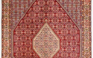 Bidjar - Carpet - 310 cm - 210 cm