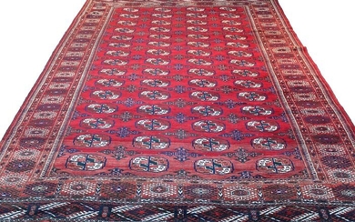 Buchara - Carpet - 322 cm - 205 cm