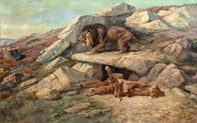 Charles H.D. BOLAND DE SPA (c.1850-?) Famille de lions Huile sur toile Signé en bas...