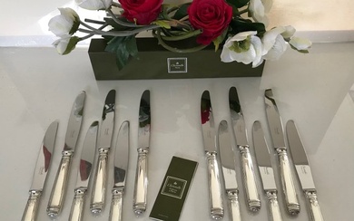 Christofle - Table knife - Set of 12 Malmaison model dinner knives - Silver-plated