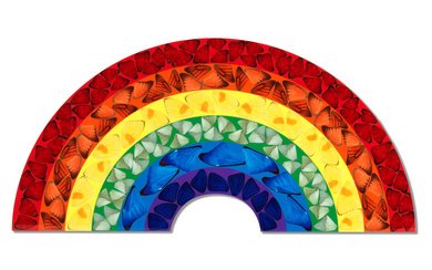 Damien Hirst (British, born 1965) Butterfly Rainbow (Small)