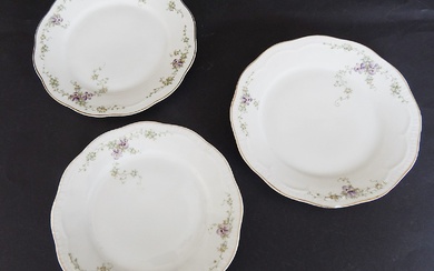 Dinner service for 12 persons, Z.S.&Ct. Bavaria, porcelain with floral...