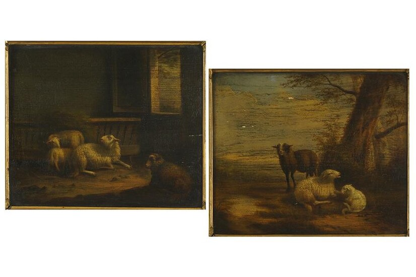 Dutch School (19th Century) Sheep.