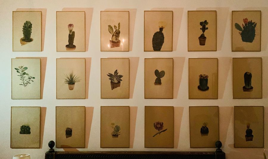 Eighteen printed herbarium plates representing mainly cacti.
