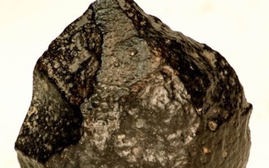 Exclusive New NWA 12778 Carbonaceous Chondrite Meteorite CM2 Type - 3.63 g