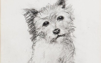 Katharine Cameron RWS RE, Scottish 1874¬®1965 - Study of a terrier with a ball; pencil on paper, 25 x 19 cm (ARR) Provenance: David Ker Fine Art, Bourne Street, ref. J245N