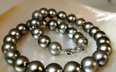 #LOW RESERVE PRICE# Steel, Tahiti pearls, Choker Size 12 to 12,9 mm - 45cm lenght - Necklace