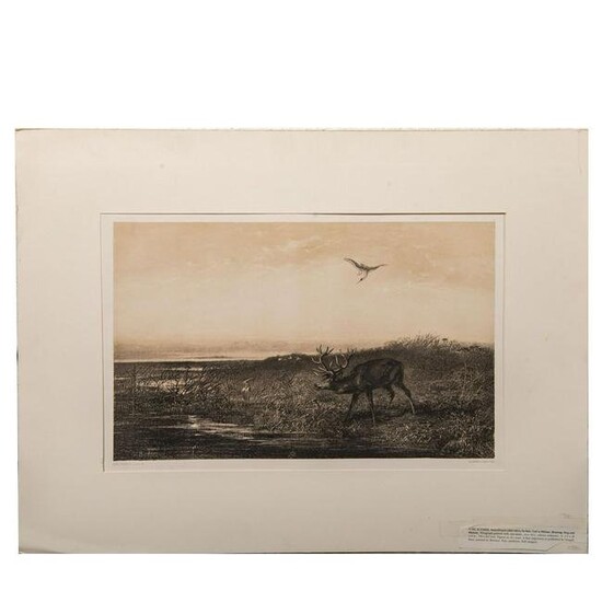 Le Soir. Cert Et Herons, Lithograph Print