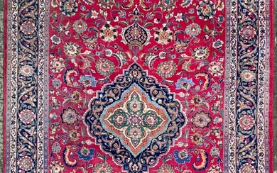 Meshed - Carpet - 337 cm - 251 cm