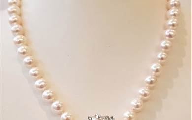 NO RESERVE PRICE - 925 Silver - 9x10mm Lustrous Freshwater Pearls - Necklace