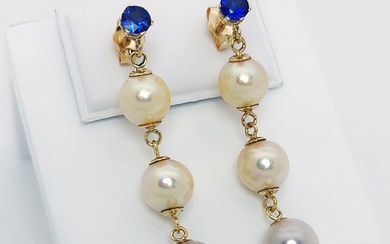 No reserve price - 14 kt. Akoya pearls, Gold - Earrings South Sea Pearl - Sapphires