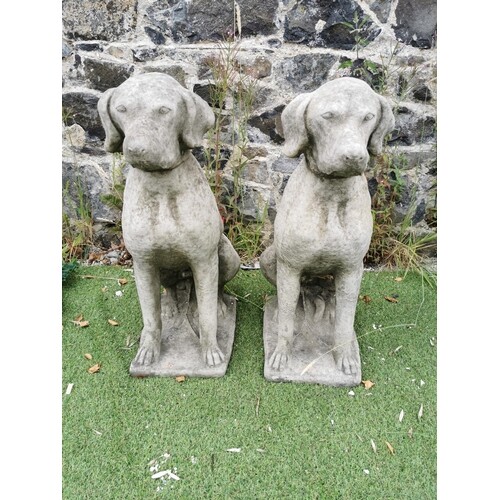 Pair of moulded stone seated Dogs {70 cm H x 24 cm W x 44 cm...