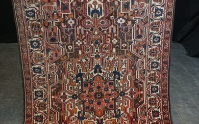 Perser Bachdiyar - Carpet - 270 cm - 161 cm