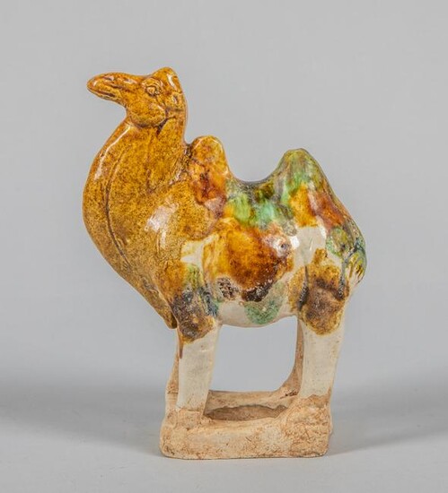 Tang Chinese Three Colors Pottery Camel