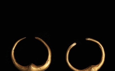 Western Asiatic Gold Hoop Earrings