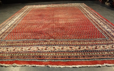 sarough miriran - Carpet - 325 cm - 250 cm