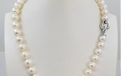 10x11mm Round White Edison - 925 Freshwater pearls, Silver - Necklace