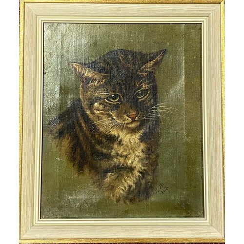19th Century School - Study of a cat, oil on canvas, initia...