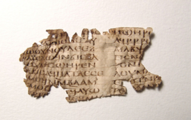 Nice Coptic vellum fragment