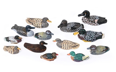 A COLLECTION OF APPROXIMATELY TWELVE CARVED AND PAINTED WOOD MODELS OF DUCKS