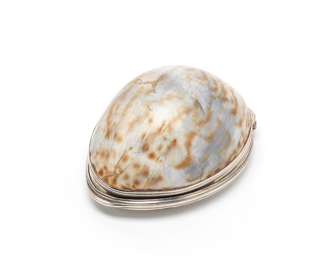 An 18th century silver-mounted cowrie snuff box