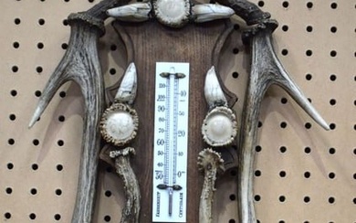 An early 20th Century wooden and antler horn Barometer and thermometer 69 cm.