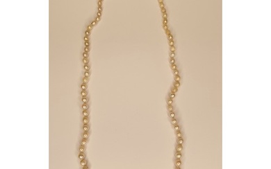 Cultured Pearl Necklace with Gold Clasp, 18"